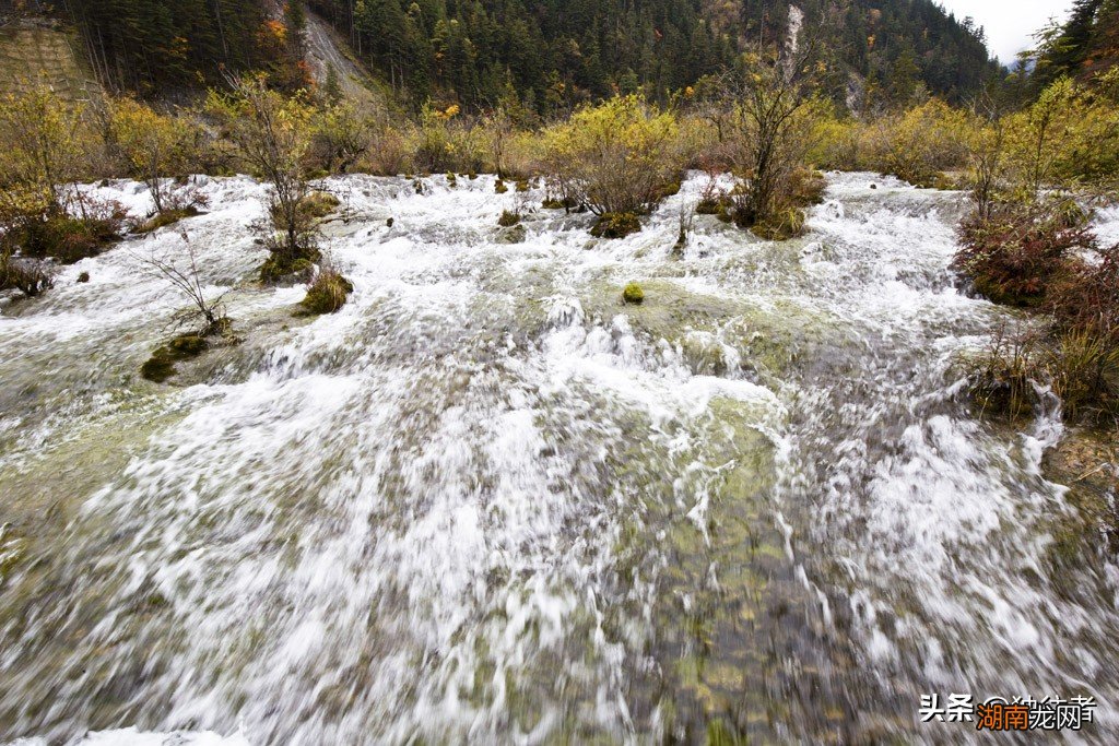 九寨沟树正瀑布的介绍以及图片 九寨沟瀑布叫什么