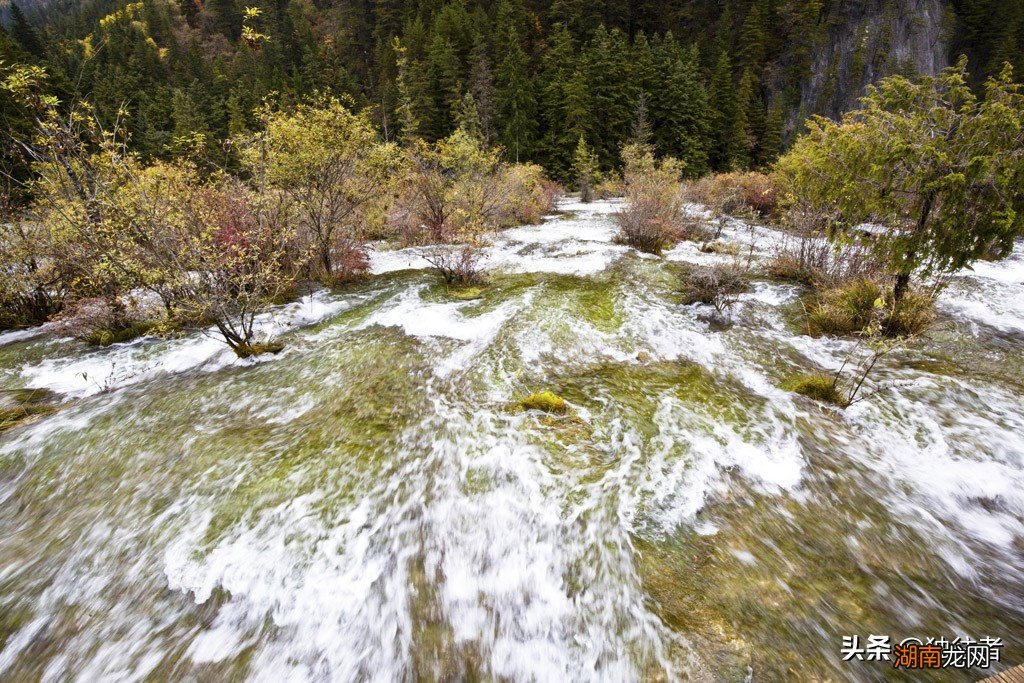 九寨沟树正瀑布的介绍以及图片 九寨沟瀑布叫什么