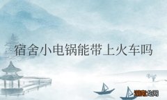 宿舍小电锅能带上火车吗现在