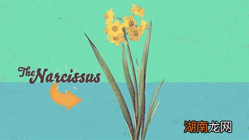 自恋型人格障碍的表现细节 究竟什么是自恋型人格障碍