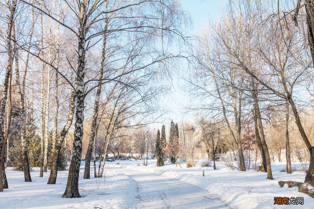 冬至吹东风的话有什么预兆 东风是从哪往哪吹的风