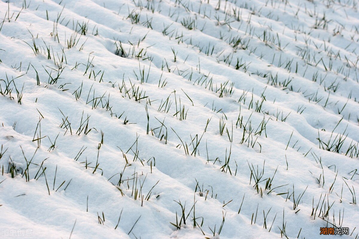 冬至吹东风的话有什么预兆 东风是从哪往哪吹的风