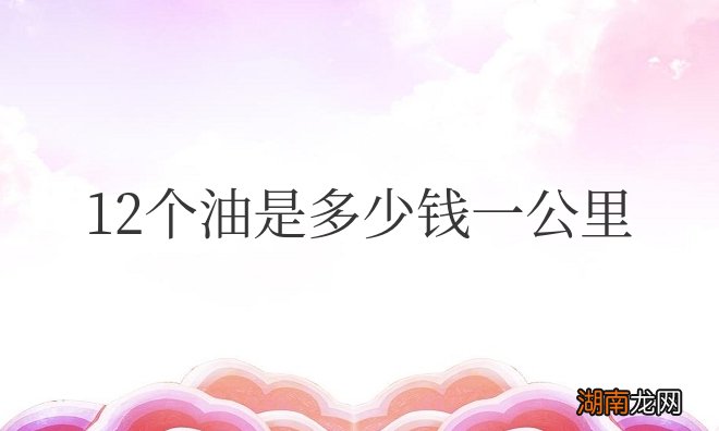油耗12个油是多少钱一公里