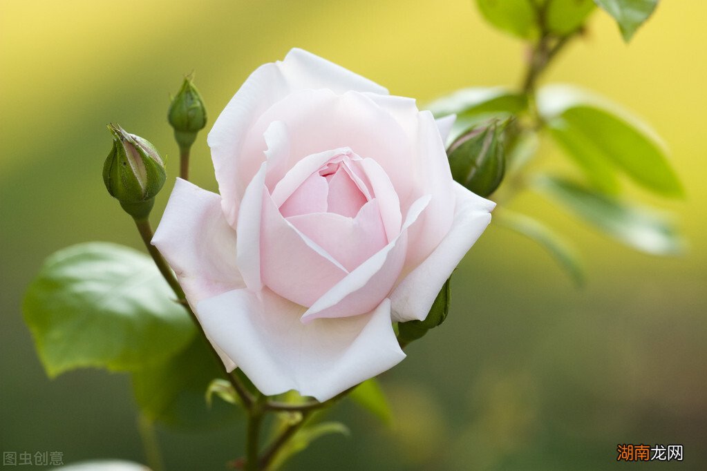 让她感动的哭起来了 写给女情人最感人的情书范文