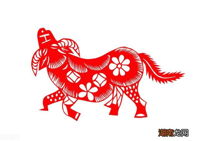 第六感很强很准的人都属什么 第六感最准是什么生肖