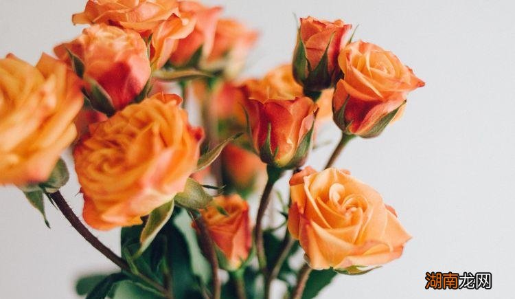 巨蟹男爱上一个女生的信号 巨蟹男掩饰暗恋你的表现