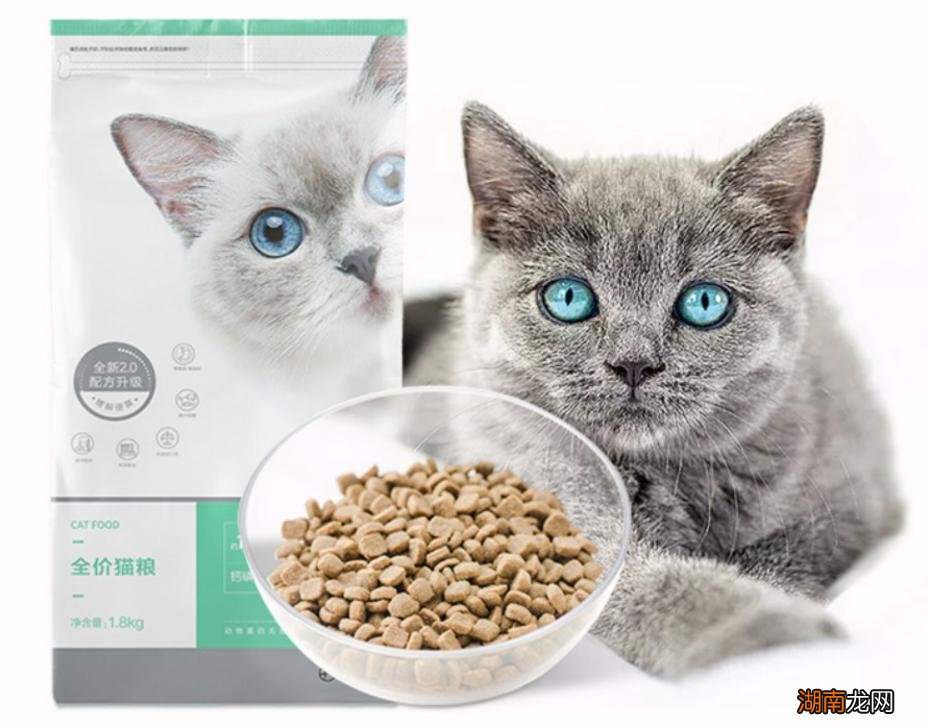 安全健康的国产猫粮品牌前十 十大放心猫粮国产名单