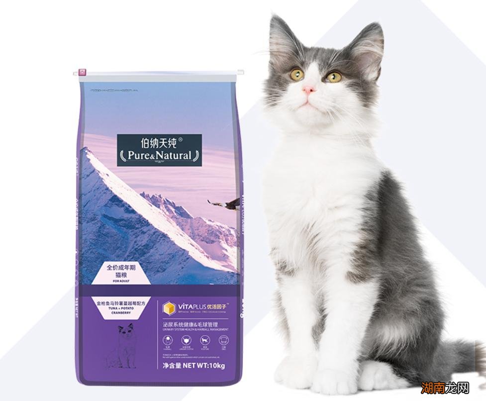 安全健康的国产猫粮品牌前十 十大放心猫粮国产名单