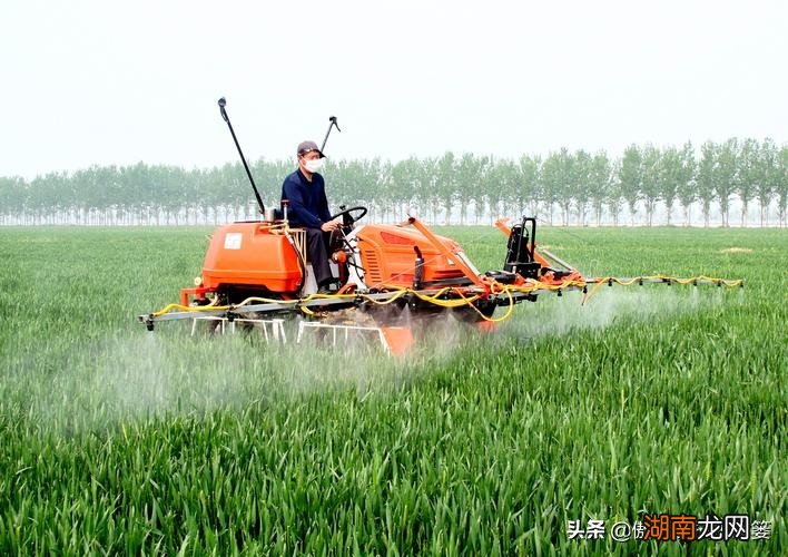 农业杀虫剂中哪个效果好 农作物杀虫剂哪个牌子效果好