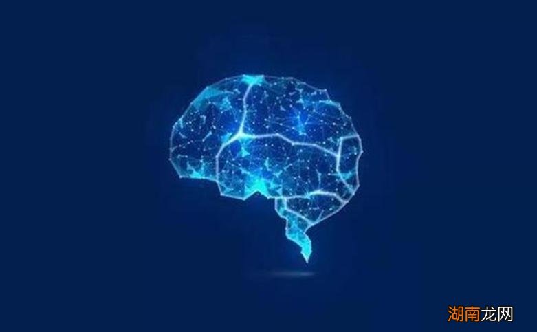 重新思考AI时代的软件开发