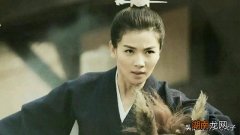 历史上司马懿真的怕张春华吗 司马懿晚年为何讨厌老婆