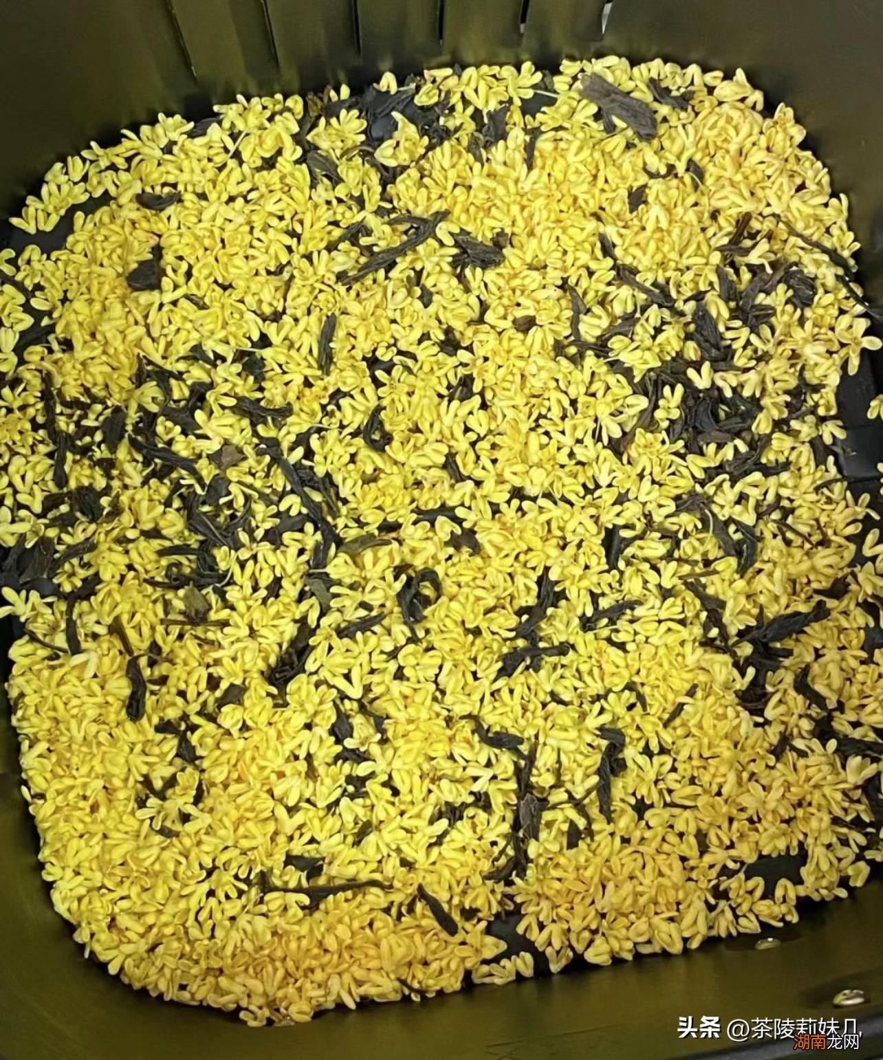 新鲜桂花清洗与处理技巧 鲜桂花怎么处理才能泡水喝