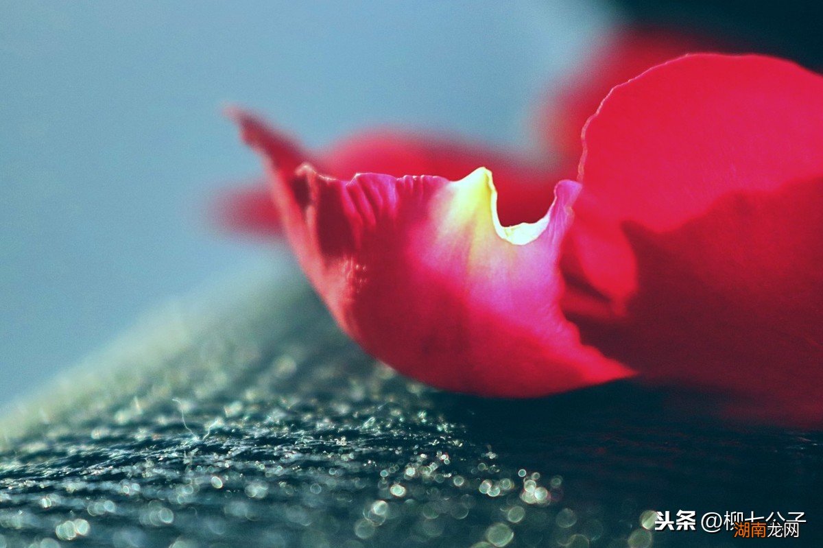 为什么说婚外情是走不远的爱情 婚外情有真爱吗会长久吗