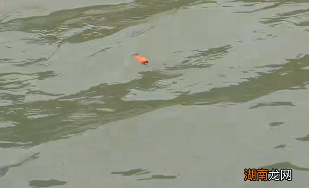 点波漂的特点和使用方法介绍 什么类型漂抗走水好