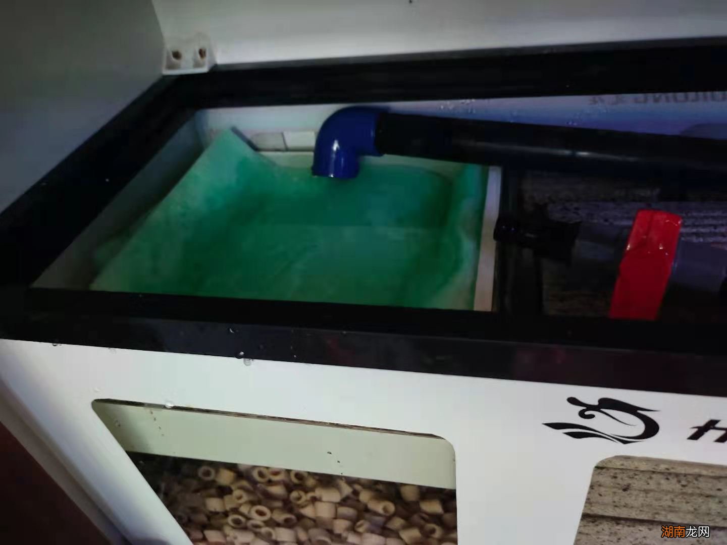 过滤棉的主要作用是什么 鱼缸过滤棉越脏越好是吗