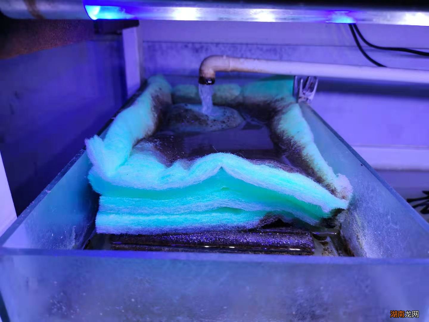 过滤棉的主要作用是什么 鱼缸过滤棉越脏越好是吗