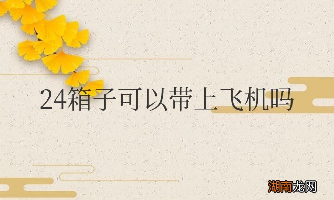 24箱子可以带上飞机吗