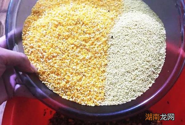 鲤鱼的钓位和诱饵怎么选择 鲤鱼什么时间段最好钓