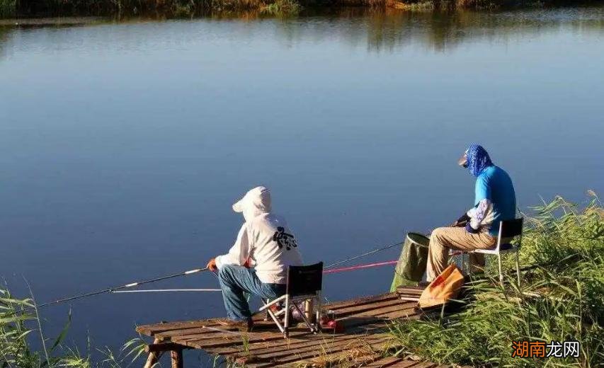 鲤鱼的钓位和诱饵怎么选择 鲤鱼什么时间段最好钓