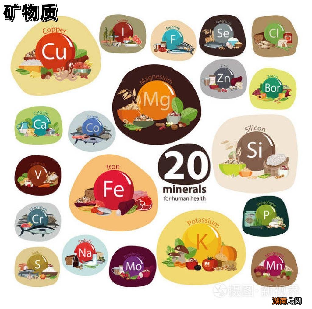 六大营养素创造你的健康生活 六大营养素是哪六种