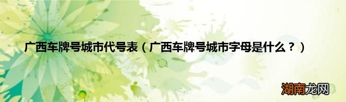 广西车牌号城市字母是什么? 广西车牌号城市代号表