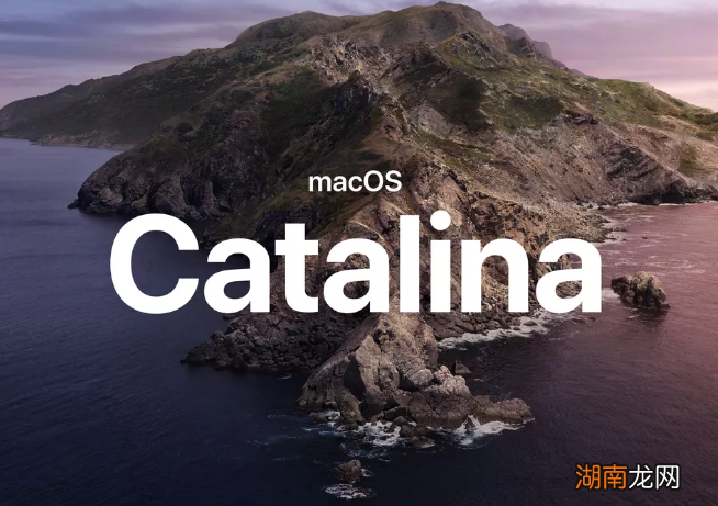 苹果让Mac成为专业人士 iPad成为合作伙伴