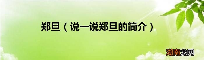 说一说郑旦的简介 郑旦