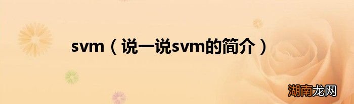 说一说svm的简介 svm