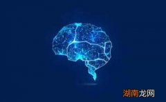 引入KiloGram一种用于恶意软件的AI检测的新技术