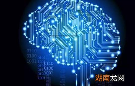 研究人员公布了可解释人工智能的调查结果