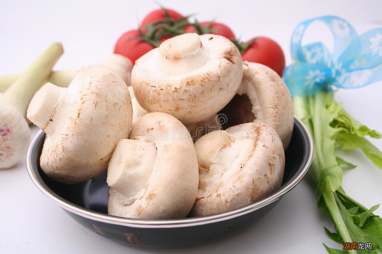 口蘑应该怎么挑选保质期长 口蘑放冰箱能保存多久不坏