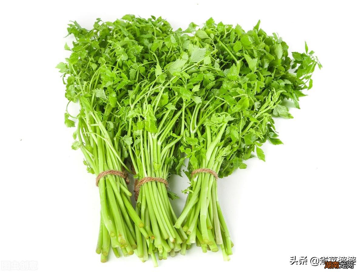 水芹用热水焯一下的原因 水芹菜为什么要焯水再炒才能吃吗