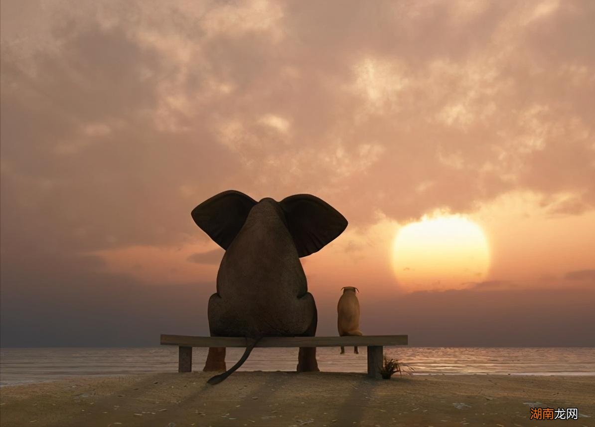 朋友之间关系闹僵了怎么办 朋友关系破裂怎么挽回