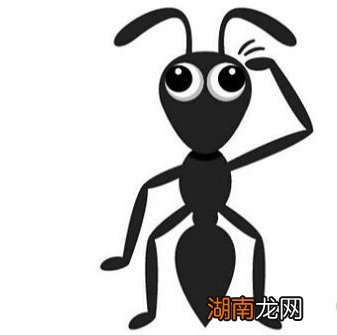 怎么界定蚂蚁是有益还是有害 蚂蚁是益虫还是害虫