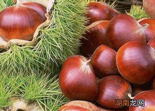 板栗怎样保存不会坏最好的方法 生板栗保存一年方法