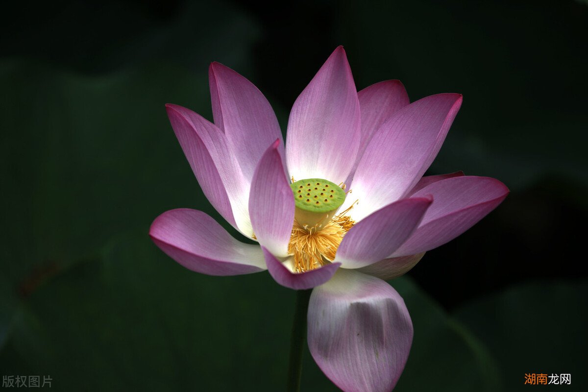 自己做人怎样才能修炼悟得好 悟道是什么意思有哪些方面