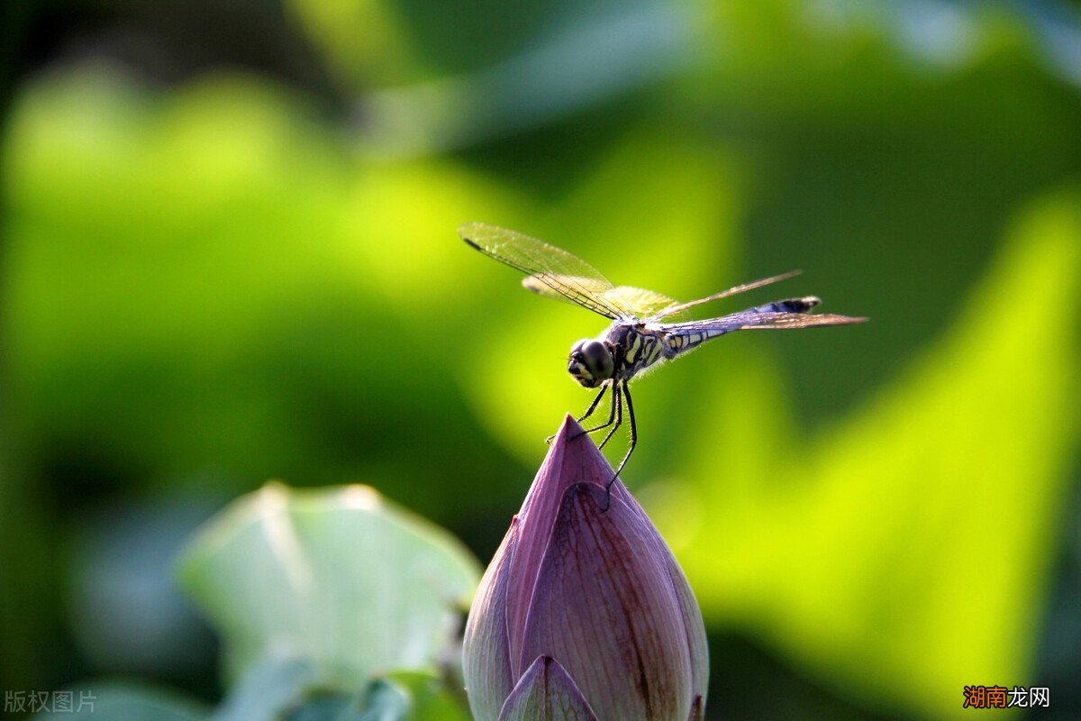自己做人怎样才能修炼悟得好 悟道是什么意思有哪些方面