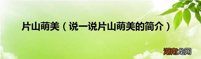 说一说片山萌美的简介 片山萌美