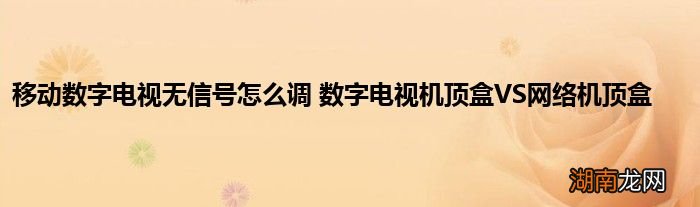 移动数字电视无信号怎么调 数字电视机顶盒VS网络机顶盒