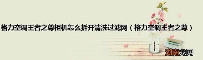 格力空调王者之尊 格力空调王者之尊柜机怎么拆开清洗过滤网