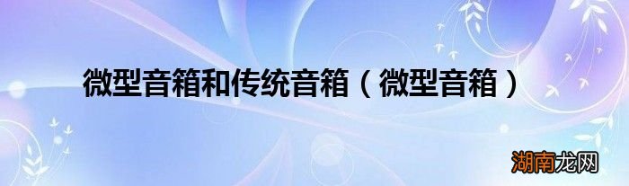 微型音箱 微型音箱和传统音箱