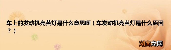 车发动机亮黄灯是什么原因？ 车上的发动机亮黄灯是什么意思啊