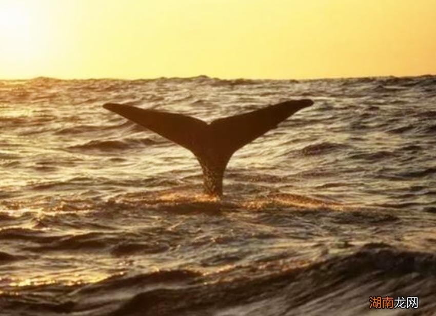 道家学派庄子的年代及代表思想 庄子是什么时期的人