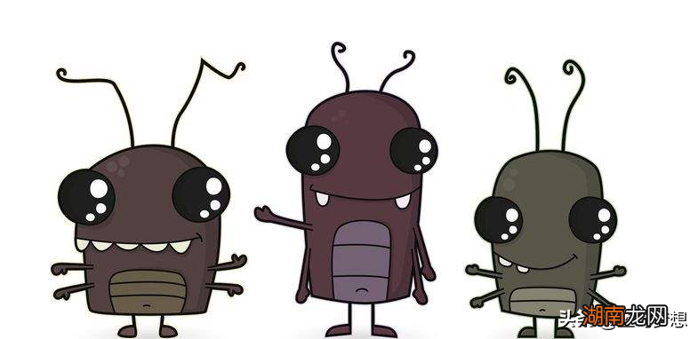 蟑螂进入家里的5种方式 家里蟑螂都是从哪里来的