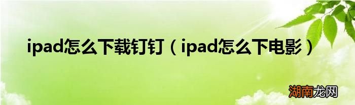 ipad怎么下电影 ipad怎么下载钉钉