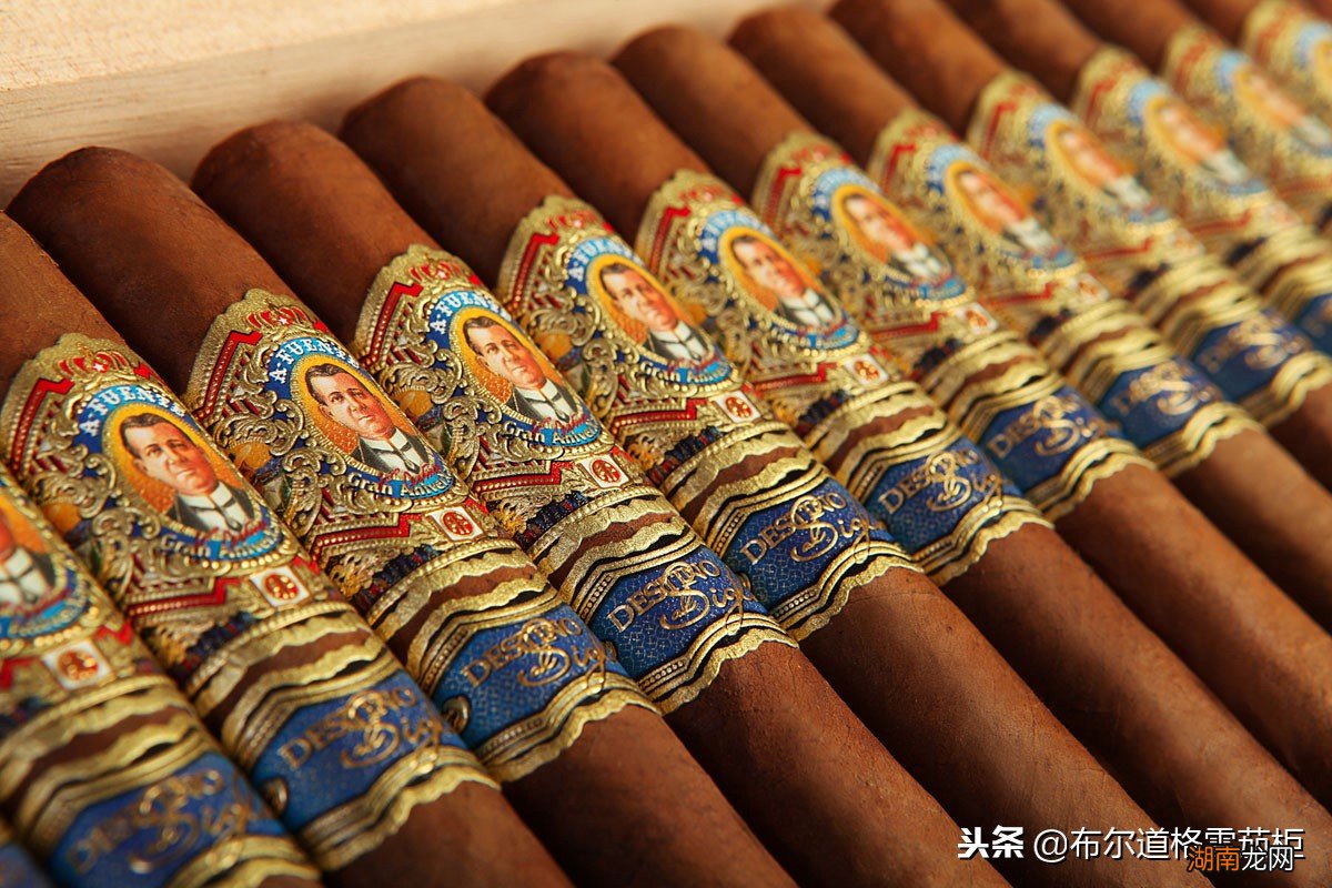 世界上最昂贵的10款雪茄 世界十大雪茄品牌价格表