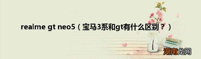 宝马3系和gt有什么区别？ realme gt neo5