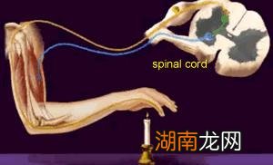 在古代咬舌自尽真的会存在吗 咬舌自尽真的能死吗