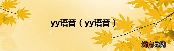 yy语音 yy语音