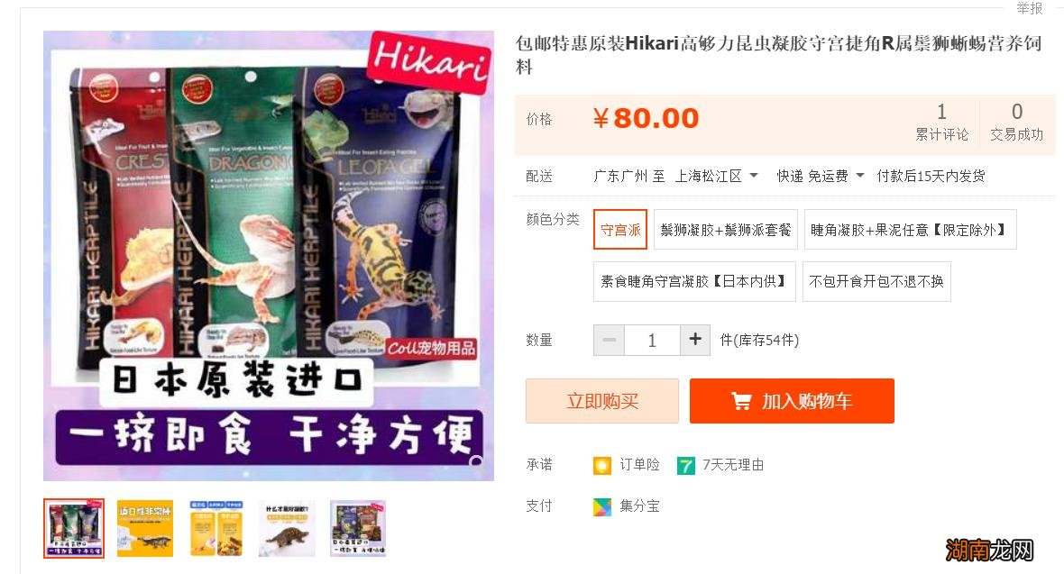 新手养守宫需要注意哪些问题 宠物守宫怎么养最好